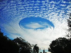 blogger-image-5663919