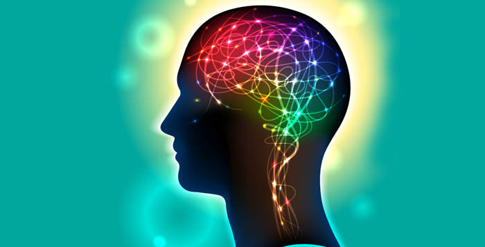 Head Profiles Idea Symbols Neurons