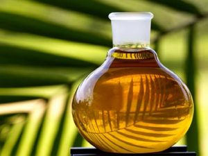 olio-di-palma_food_magazine_biocarburante_olio_di_palma_olio_friggere_olio_di_palma_indonesia_olio_di_palma