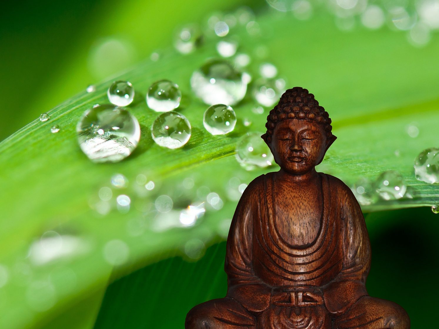 meditazione-buddha-goccie