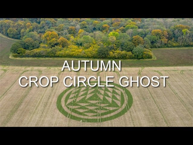 Il Crop circle appare verde brillante in un campo autunnale
